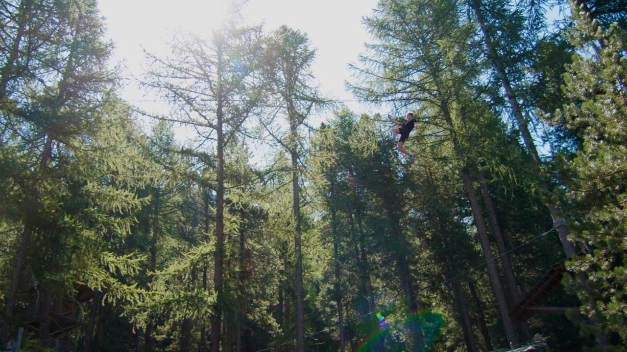 Baumzelte Robis Waldspielpark Hotell Grächen Eksteriør bilde
